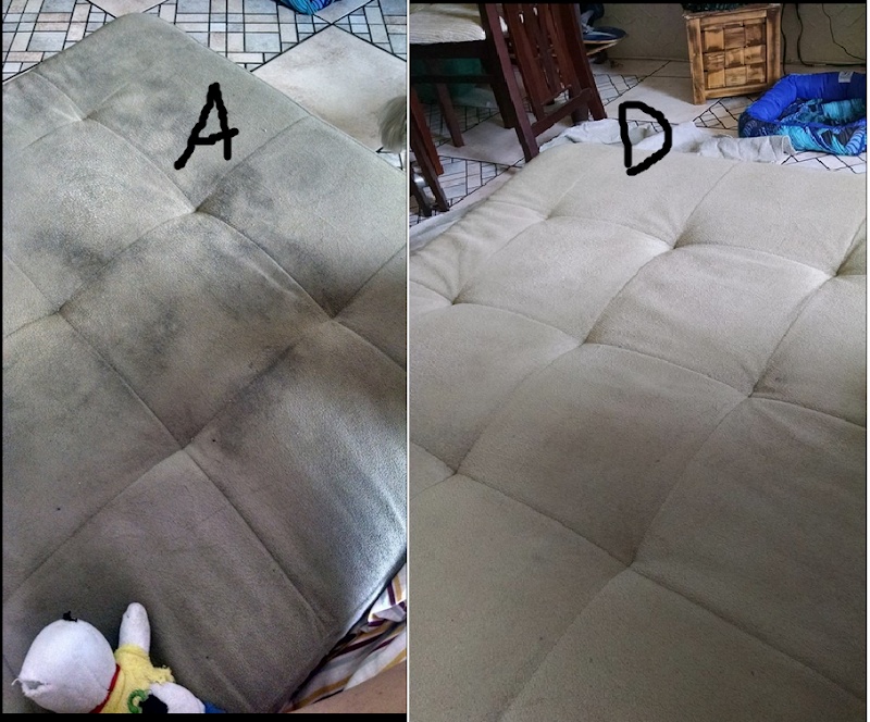 Limpinho Limpeza de Sofá - Empresa de Limpeza em Gopoúva, Guarulhos/SP - Foto 3