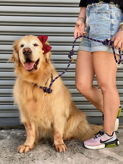 Cachorraria