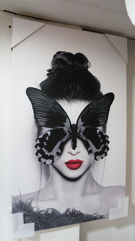 Foto Paulista LOJA DE FOTOS - Loja de Roupas em Centro, Guarulhos/SP - Foto 3