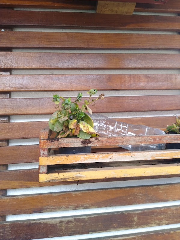 Madeireira Shirai - Material de Construção em Cumbica, Guarulhos/SP - Foto 3