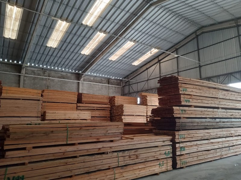 Beludia Madeiras - Material de Construção em Pimentas, Guarulhos/SP - Foto 3