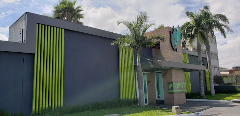 Mint Motel