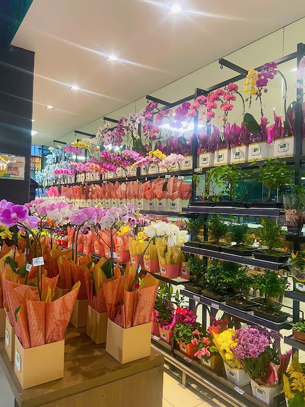 Sítio Verde Hortifruti - Jardim Zaira - Padaria em Centro, Guarulhos/SP - Foto 4