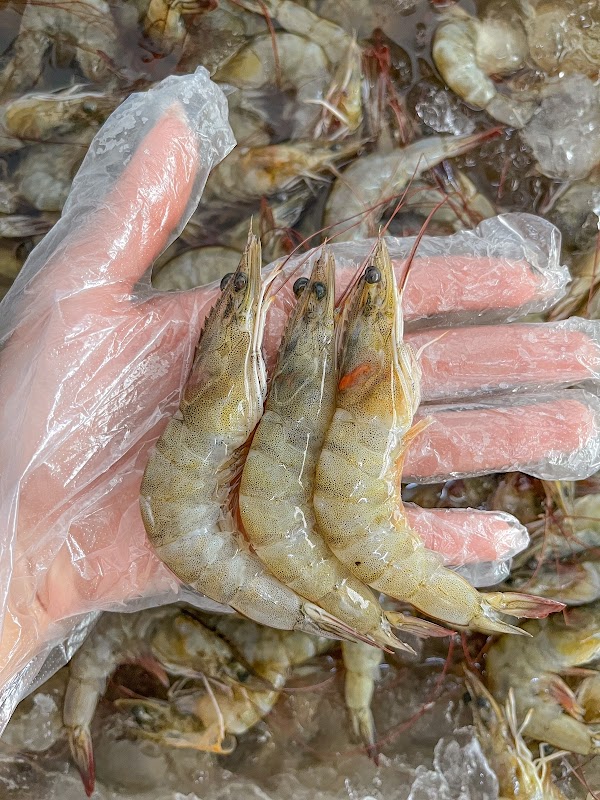 Peixe & Cia - Peixaria em Cocaia, Guarulhos/SP - Foto 3