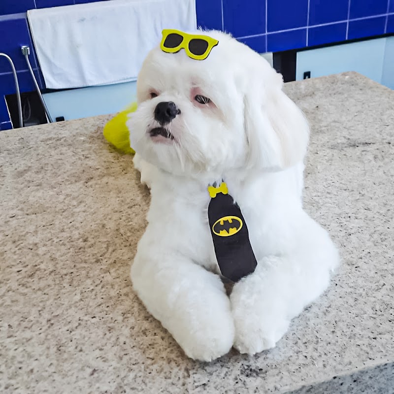 Pet Shop Kilocão - Pet Shop em Bonsucesso, Guarulhos/SP - Foto 4