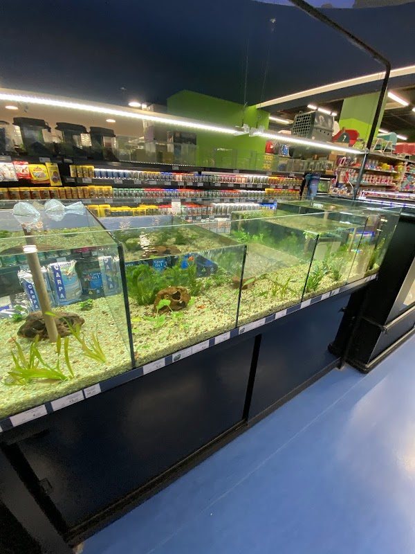 Cobasi - Pet Shop em Centro, Guarulhos/SP - Foto 3