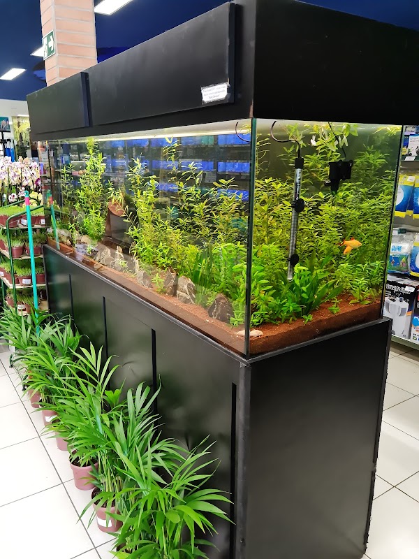 Cobasi Guarulhos - Pet Shop em Centro, Guarulhos/SP - Foto 3