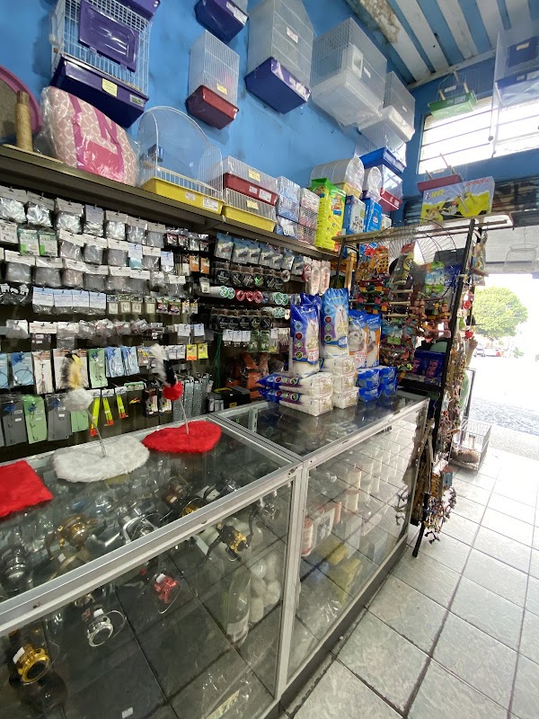 Rose Face - Pet Shop em Centro, Guarulhos/SP - Foto 2