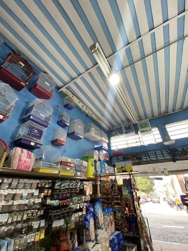 Rose Face - Pet Shop em Centro, Guarulhos/SP - Foto 3