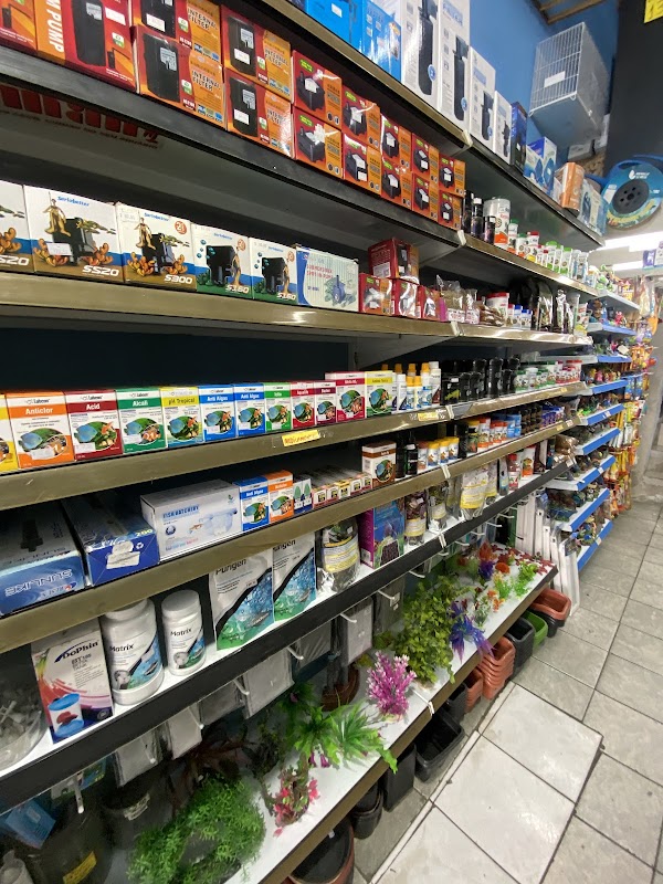 Rose Face - Pet Shop em Centro, Guarulhos/SP - Foto 5