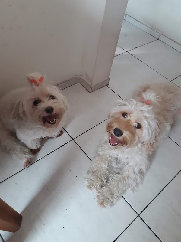 Spet Guarulhos Centro