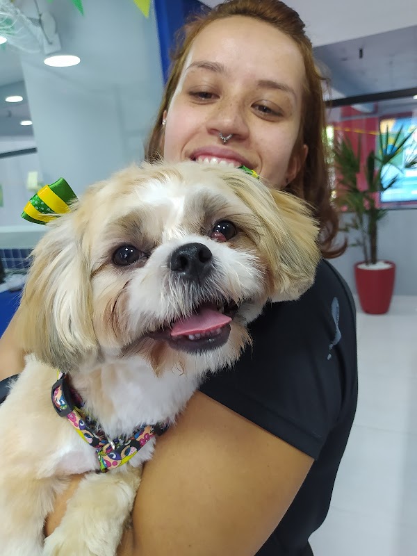 Rações Renata Pet Shop - Pet Shop em Cidade Maia, Guarulhos/SP - Foto 3