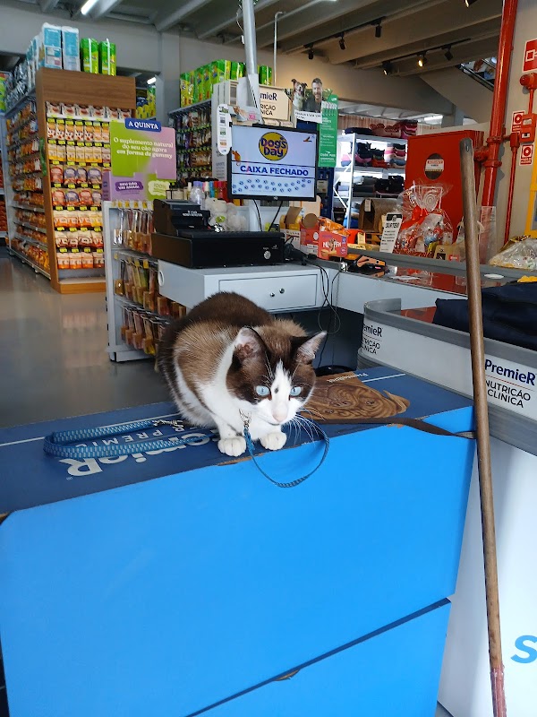Dog's Day - Guarulhos - Pet Shop em Gopoúva, Guarulhos/SP - Foto 5