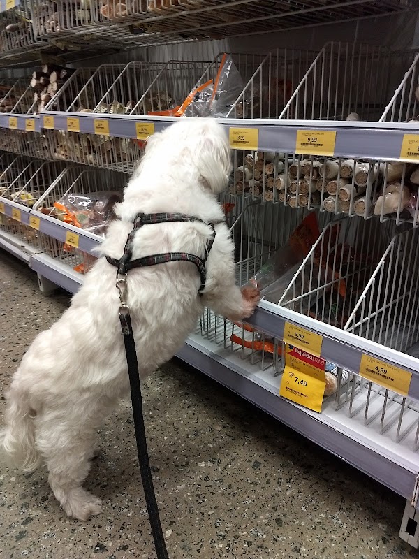 Petz Bosque Maia - Pet Shop em Macedo, Guarulhos/SP - Foto 4