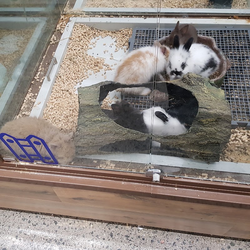 Petz Bosque Maia - Pet Shop em Macedo, Guarulhos/SP - Foto 5