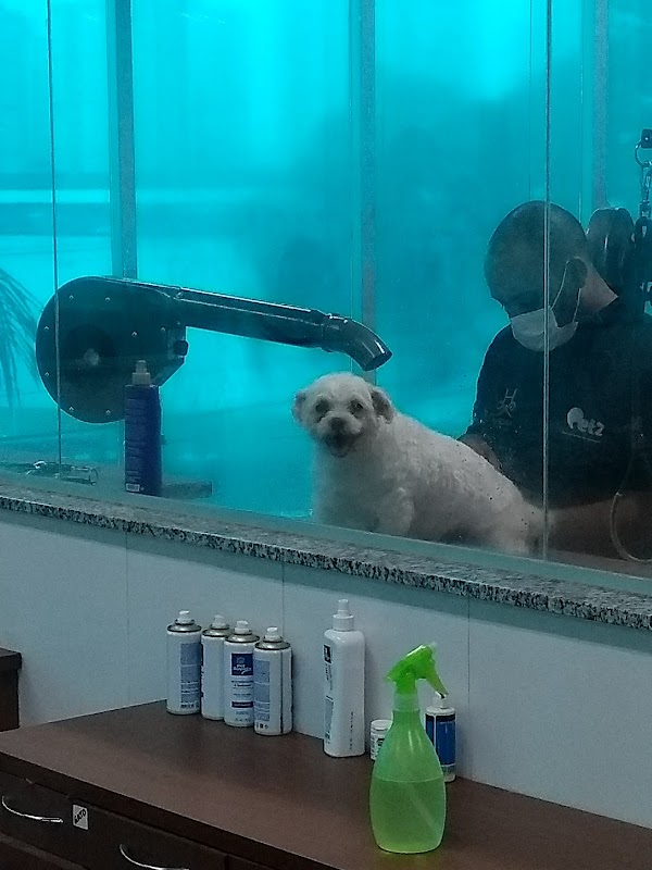 Petz Guarulhos - Pet Shop em Ponte Grande, Guarulhos/SP - Foto 4