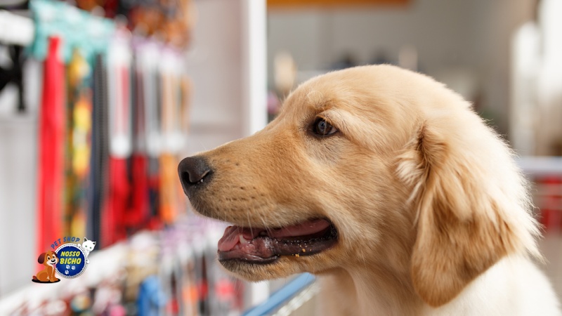 Pet Shop Nosso Bicho - Vila Barros - Pet Shop em Vila Barros, Guarulhos/SP - Foto 4