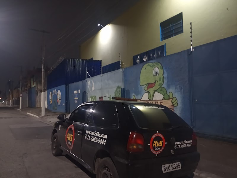 AVS Monitoramento e Segurança