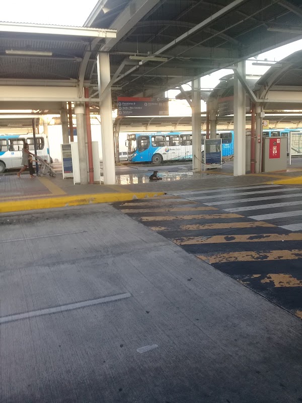 Guarulhos Transportes - Transportadora em Bonsucesso, Guarulhos/SP - Foto 3